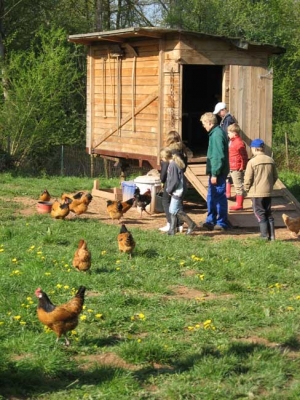 Queichhambach im Fernsehen